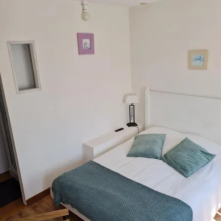 Les Mouettes Blessées Le Crotoy