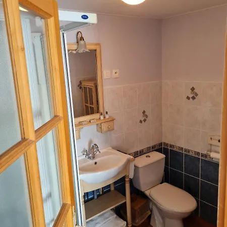 Les Mouettes Blessées Le Crotoy