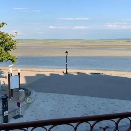 Les Mouettes Blessees