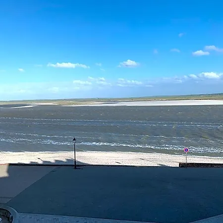 Les Mouettes Blessees Le Crotoy