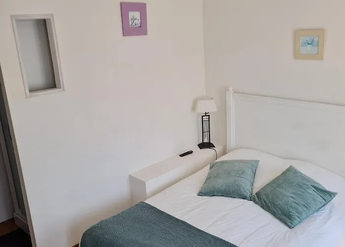 Les Mouettes Blessees Le Crotoy