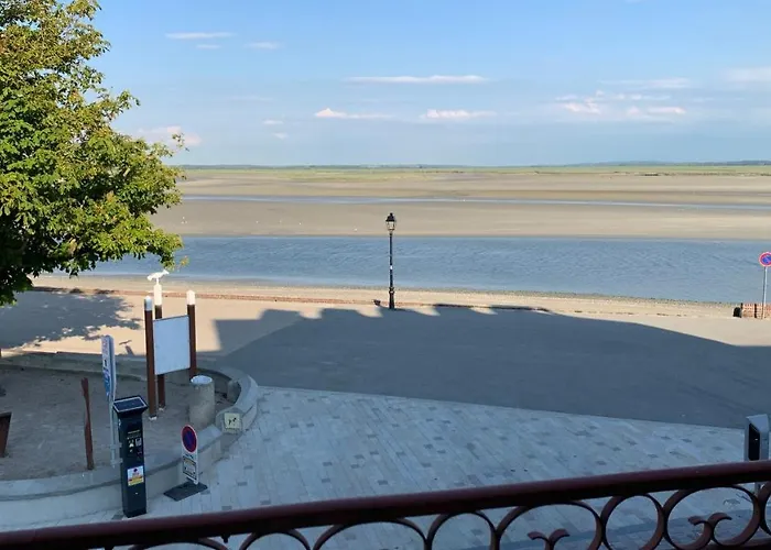 Les Mouettes Blessees